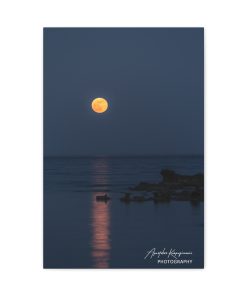 Moonlight's magic... -  Matte Canvas, Stretched, 1.25